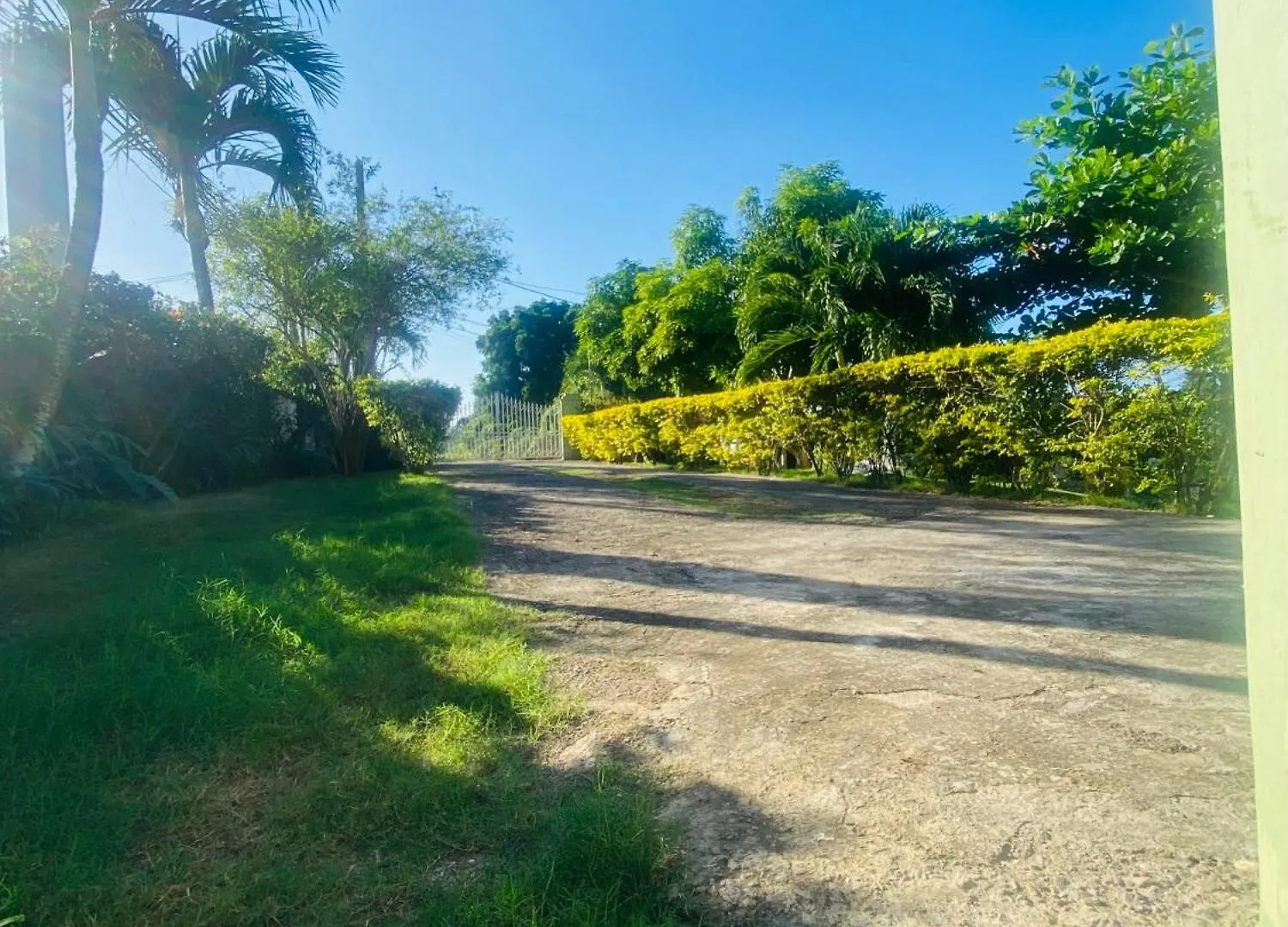 Cindy'S Garden Stay Ocho Rios Apartment